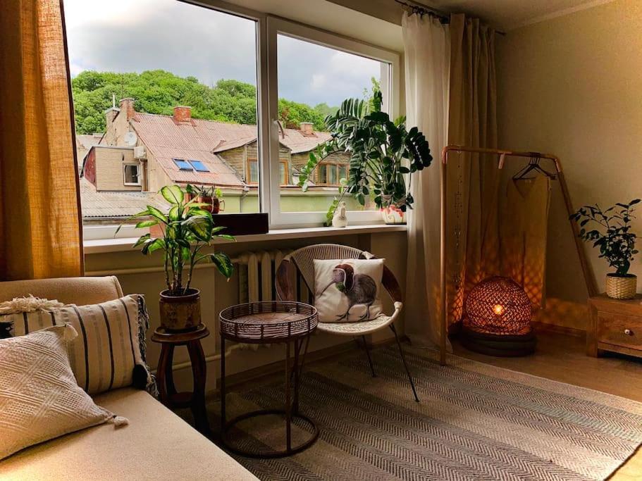 Three Bedroom With Two Terraces For 7People+Baby Каунас Экстерьер фото