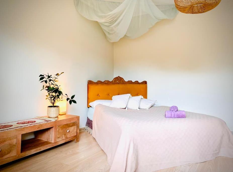 Three Bedroom With Two Terraces For 7People+Baby Каунас Экстерьер фото