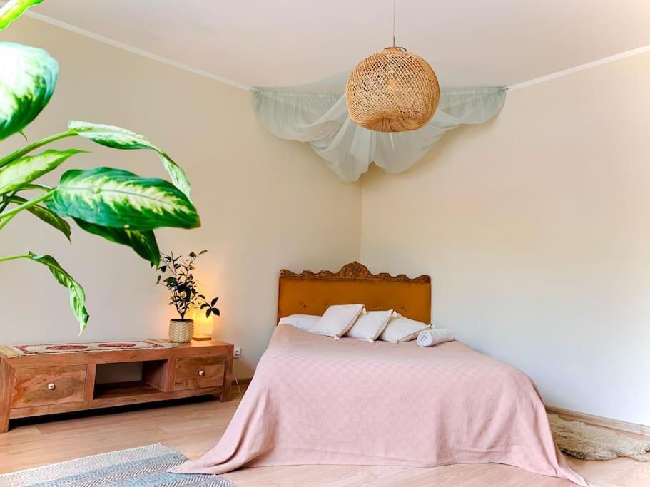 Three Bedroom With Two Terraces For 7People+Baby Каунас Экстерьер фото