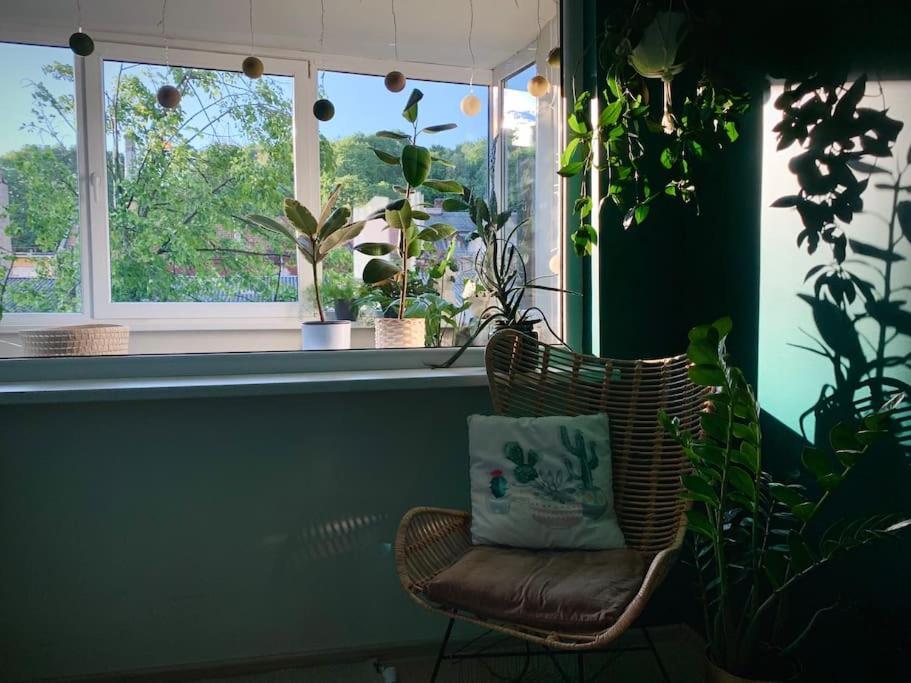 Three Bedroom With Two Terraces For 7People+Baby Каунас Экстерьер фото